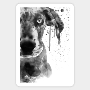 Black And White Half Faced Puppy Sticker